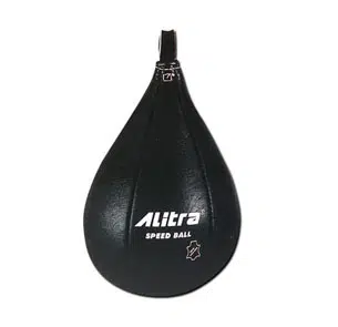 Punching Ball