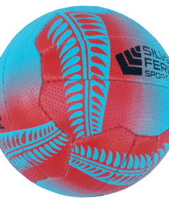 Alternative view of Silver Fern Ball - Falcon