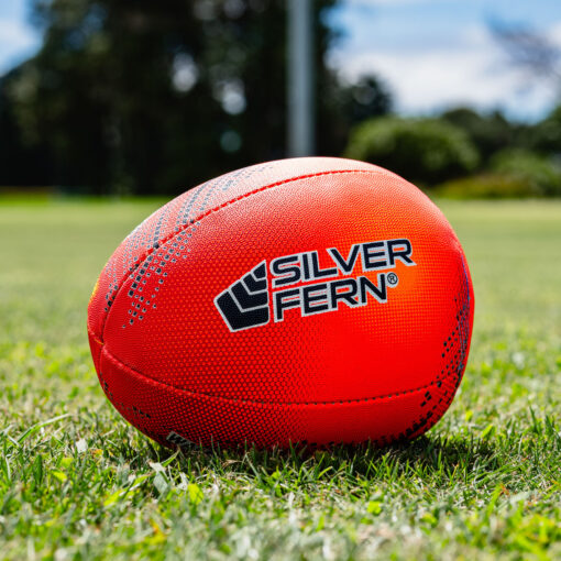 Silver Fern Skills Ball - Image 2