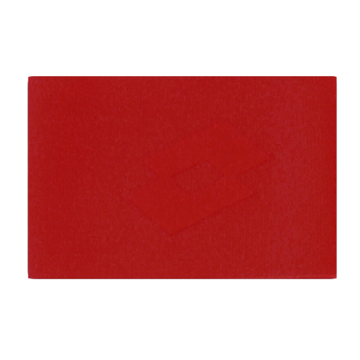 Lotto Shinguard Stays