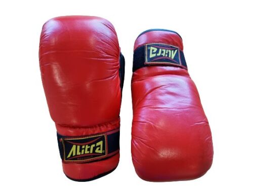 Boxing Gloves - 18oz with Focus Zone - Image 3