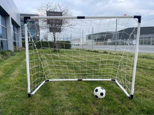 Soccer Goal, with ball, pump and pegs