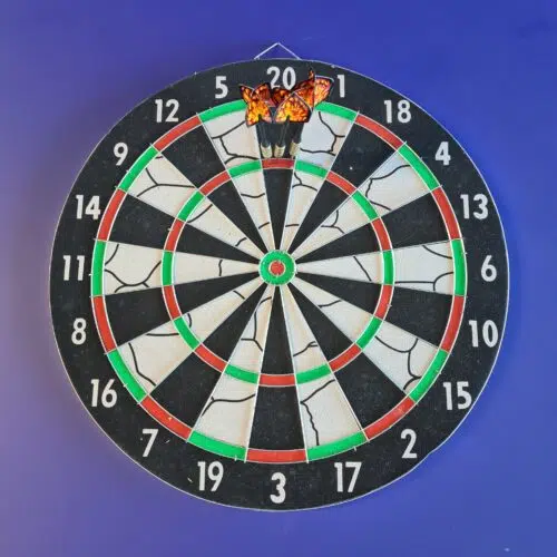 Dart Board New Zealand