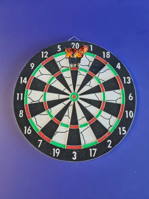 Dart Board New Zealand