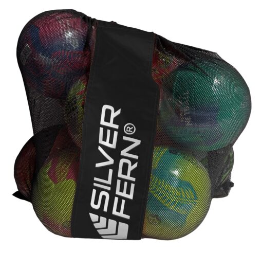 Silver Fern Mesh Ball Carry Bag